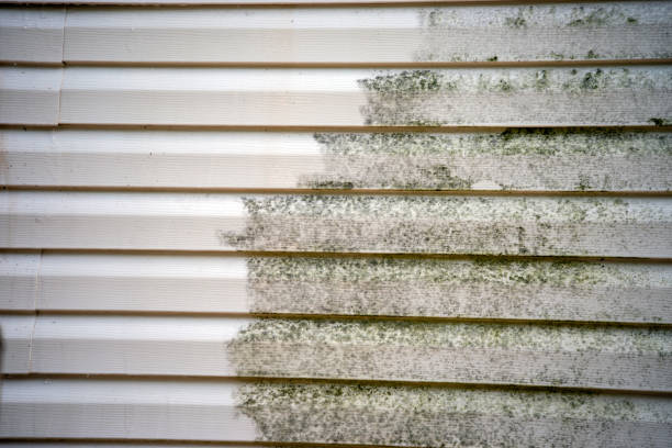 Best Residential Vinyl Siding Installation  in Flora, MS